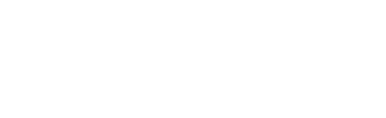 sistema nacional anticorrupción