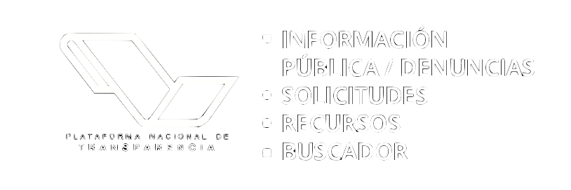 plataforma nacional de transparencia