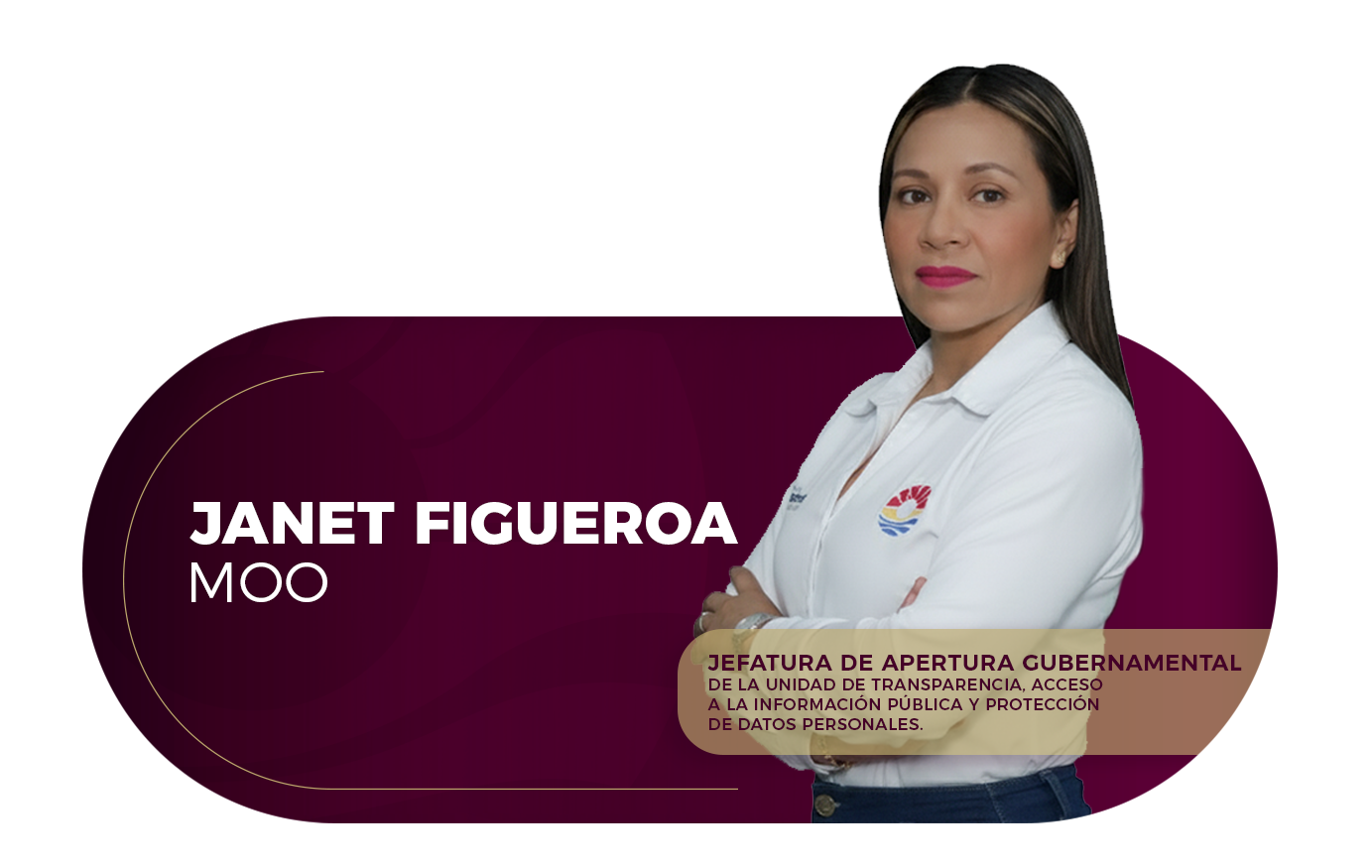 Apertura Gubernamental